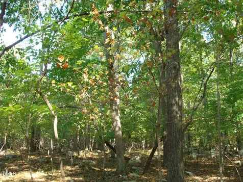 Lot 1 Lodge Trail Chapel Hill NC 27516