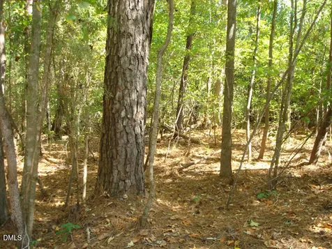 Lot 1 Lodge Trail Chapel Hill NC 27516