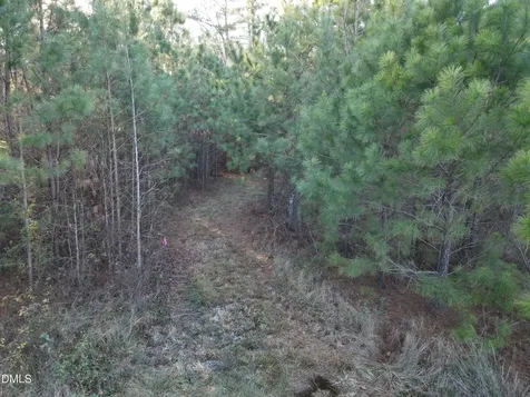 0 Sykes Road Nashville NC 27856