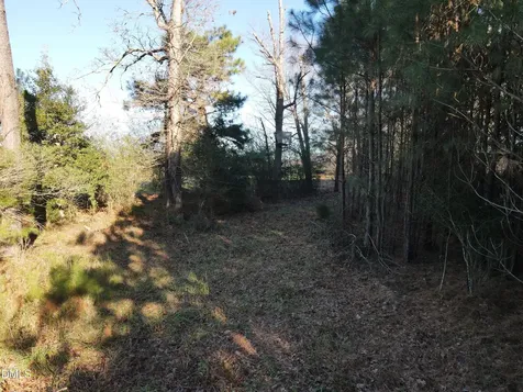 0 Sykes Road Nashville NC 27856