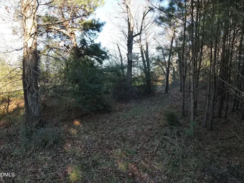 0 Sykes Road Nashville NC 27856