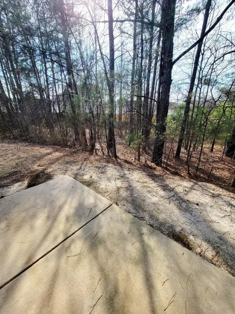3944 Volkswalk Place Raleigh NC 27610