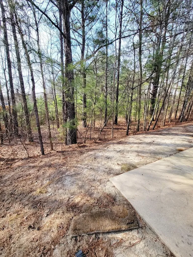 3944 Volkswalk Place Raleigh NC 27610