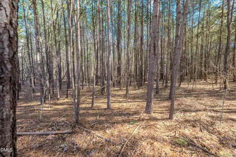 6724 Wimberly Road Willow Springs NC 27592
