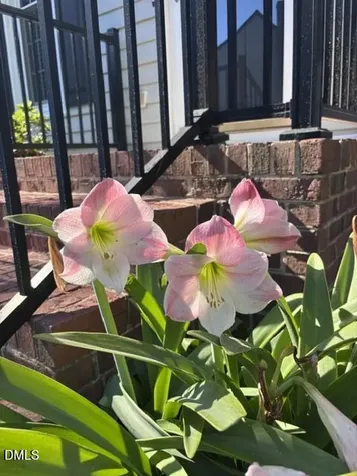 109 Whitby Court Cary NC 27511