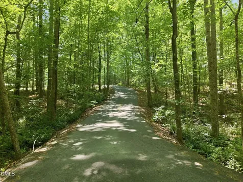 215 E Deer Run Apex NC 27523