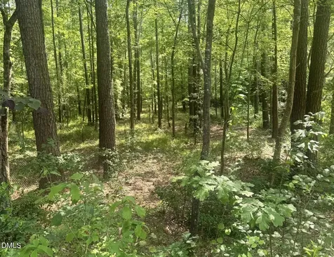 540 Crab Apple Lane Erwin NC 28339