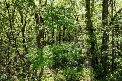 0 S South Nc 87 Highway Graham NC 27253