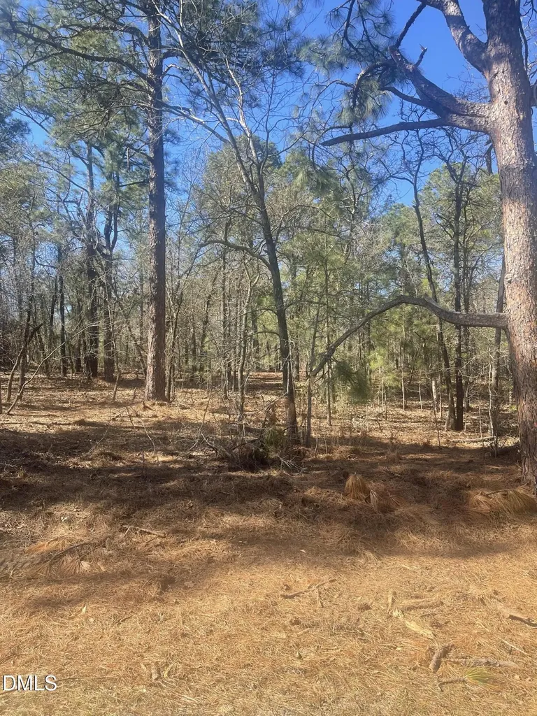 0 N Nc 73 Jackson Springs NC 27281