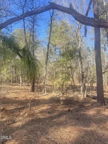 0 N Nc 73 Jackson Springs NC 27281