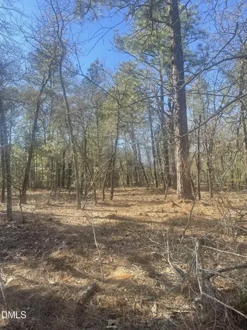 0 N Nc 73 Jackson Springs NC 27281