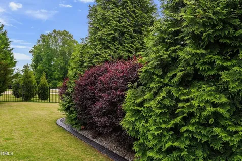 221 Misty Moonlight Willow Springs NC 27592
