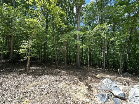 033 Fire Tower Drive Rougemont NC 27572