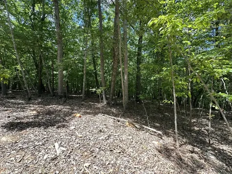 033 Fire Tower Drive Rougemont NC 27572