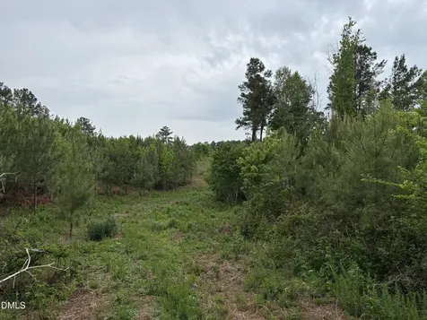 0 Burchette Lot 9 Road Manson NC 27553