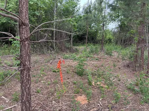 0 Burchette Lot 9 Road Manson NC 27553