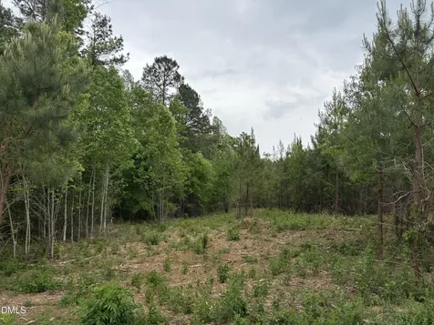 0 Burchette Lot 9 Road Manson NC 27553
