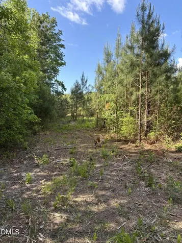 0 Burchette Lot 9 Road Manson NC 27553