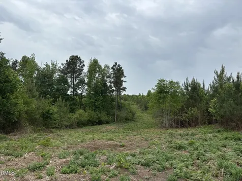 0 Burchette Lot 9 Road Manson NC 27553
