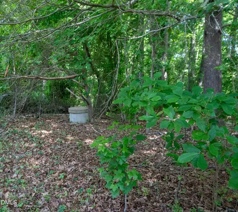 248 W Franklinville Street Staley NC 27355