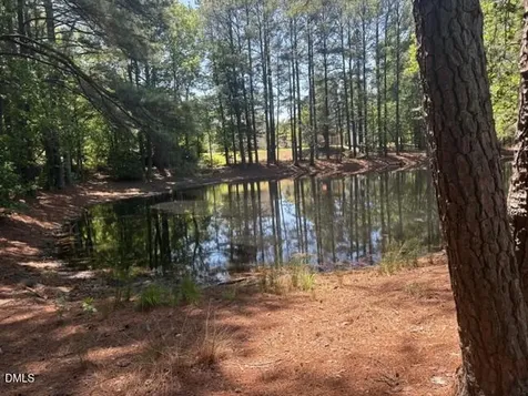 919 Homestead Park Drive Apex NC 27502