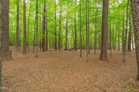 2 Sagamore Place Hillsborough NC 27278