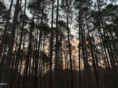 2 Sagamore Place Hillsborough NC 27278