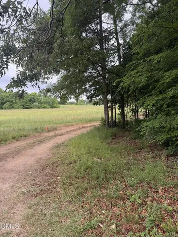 249 Mary Eliza Lane Goldston NC 27252