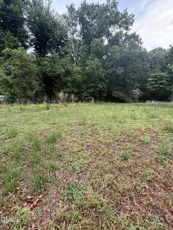 249 Mary Eliza Lane Goldston NC 27252