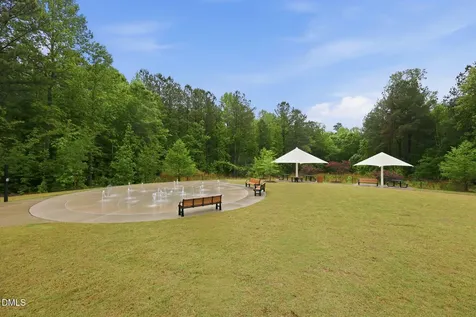 170 Symmetry Loop Youngsville NC 27596