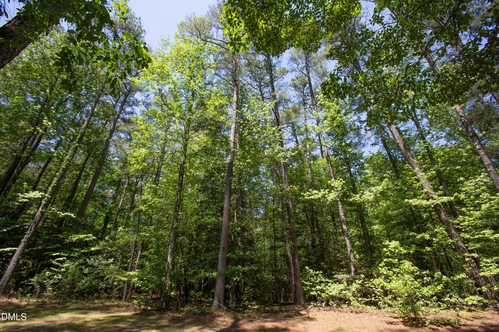 3005 Horse Shoe Farm Road Wake Forest NC 27587