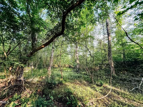 4012 Nc-56 Franklinton NC 27525