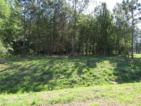 10 Skyline Drive Louisburg NC 27549