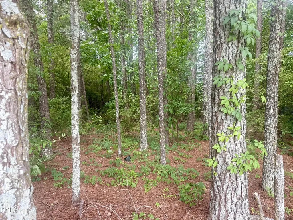 0 Happy Trails Lane Dunn NC 28334