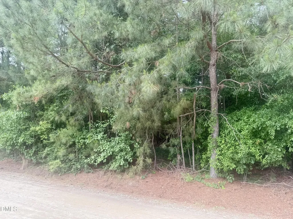 0 Happy Trails Lane Dunn NC 28334