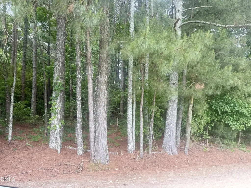 0 Happy Trails Lane Dunn NC 28334