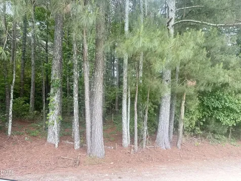 0 Happy Trails Lane Dunn NC 28334
