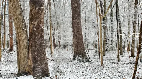 201 Briggs Road Hurdle Mills NC 27541