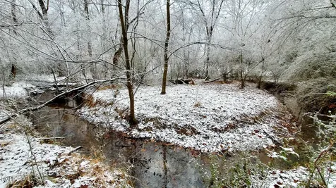 201 Briggs Road Hurdle Mills NC 27541