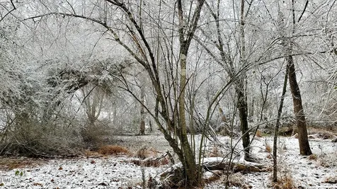 201 Briggs Road Hurdle Mills NC 27541