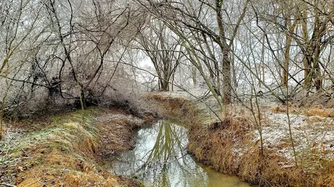 201 Briggs Road Hurdle Mills NC 27541