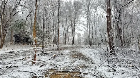 201 Briggs Road Hurdle Mills NC 27541