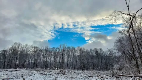201 Briggs Road Hurdle Mills NC 27541