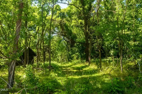 201 Briggs Road Hurdle Mills NC 27541