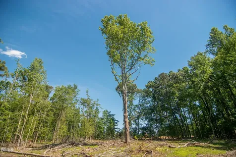 201 Briggs Road Hurdle Mills NC 27541