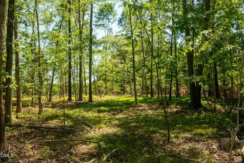 201 Briggs Road Hurdle Mills NC 27541