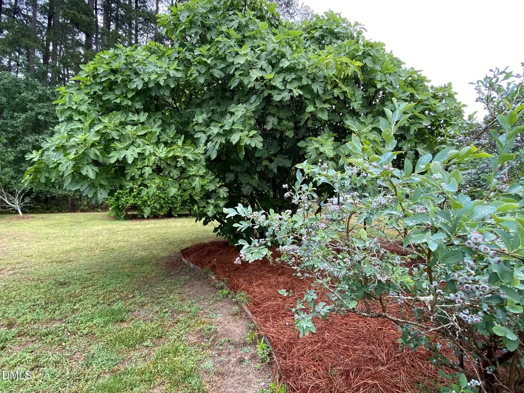 2256 Shotwell Road Clayton NC 27520