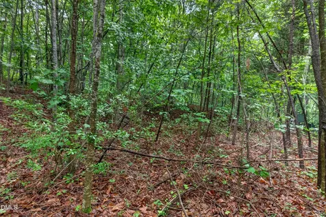 235 Eagle Drive Louisburg NC 27549