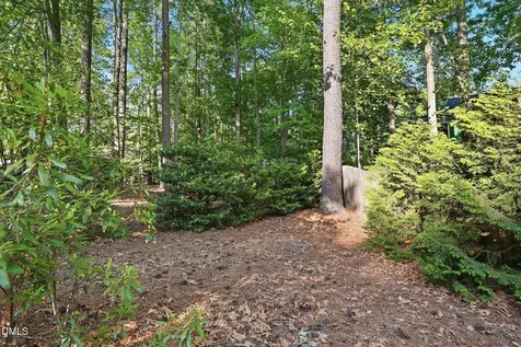 3008 Sgt Pepper Court Raleigh NC 27603