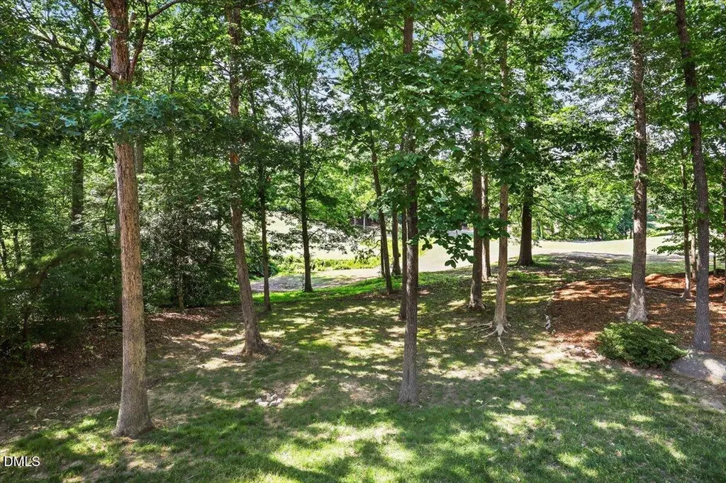 201 Hein Drive Clayton NC 27527